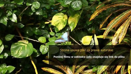 instrukcja samsung galaxy tab 2