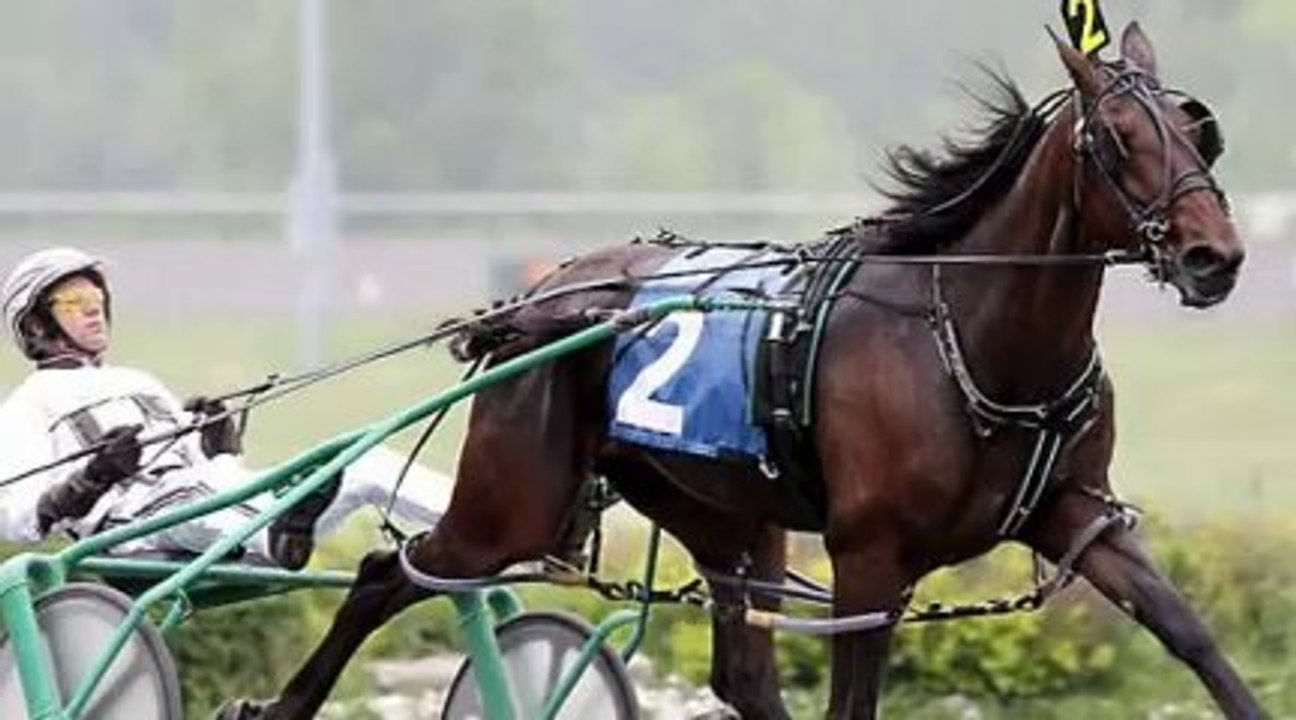 2011 Dan Patch Winners