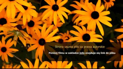 poradnik na jungle lol