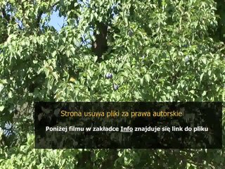 instrukcja rb n 2013