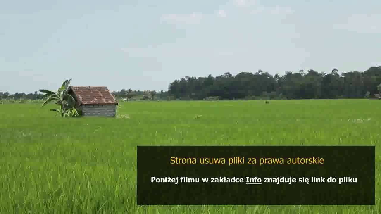 poradnik vat 2014