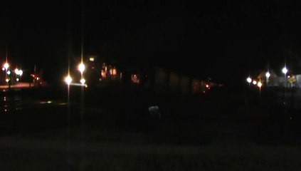 NS 229 Intermodal train SB through Austell Ga.