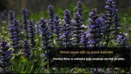 sposob na enchantowanie broni minecraft