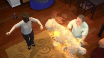 Florida man sets dog, himself on fire trying to kill ticks