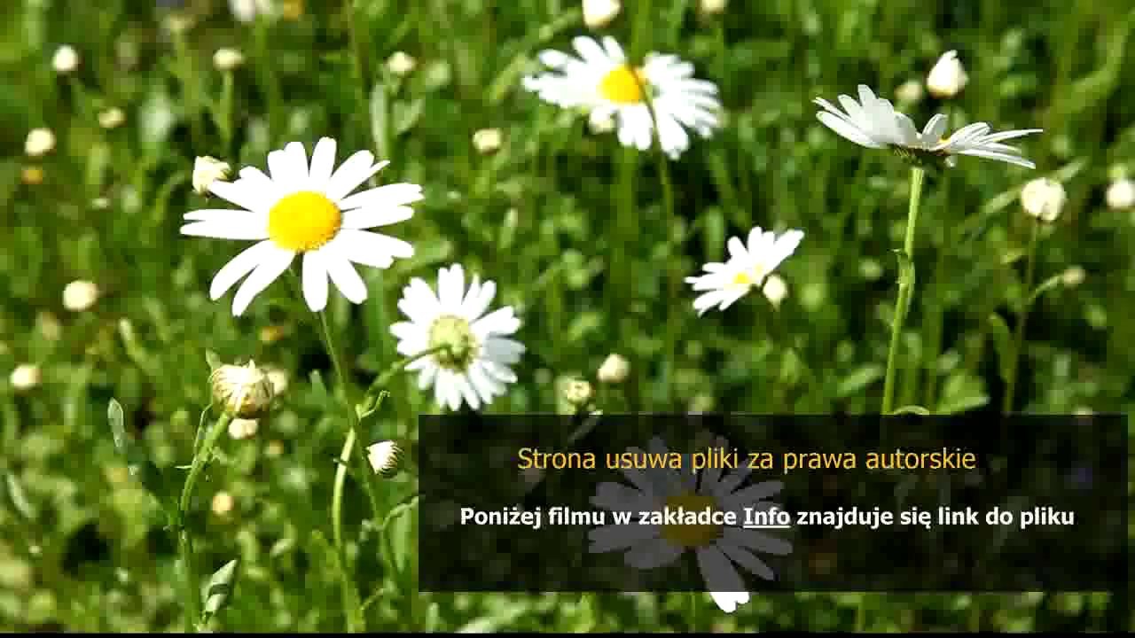 poradnik dla junglera