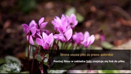 instrukcja sony xperia m
