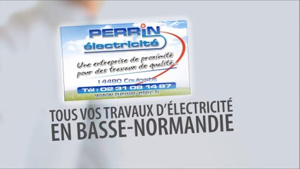 MAINTENANCE D'ESPACES PROFESSIONNELS ET COMMERCIAUX. BASSE NORMANDIE