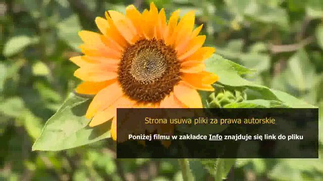 instrukcja pralki whirlpool awt 2272