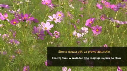 domowy sposob na viagre