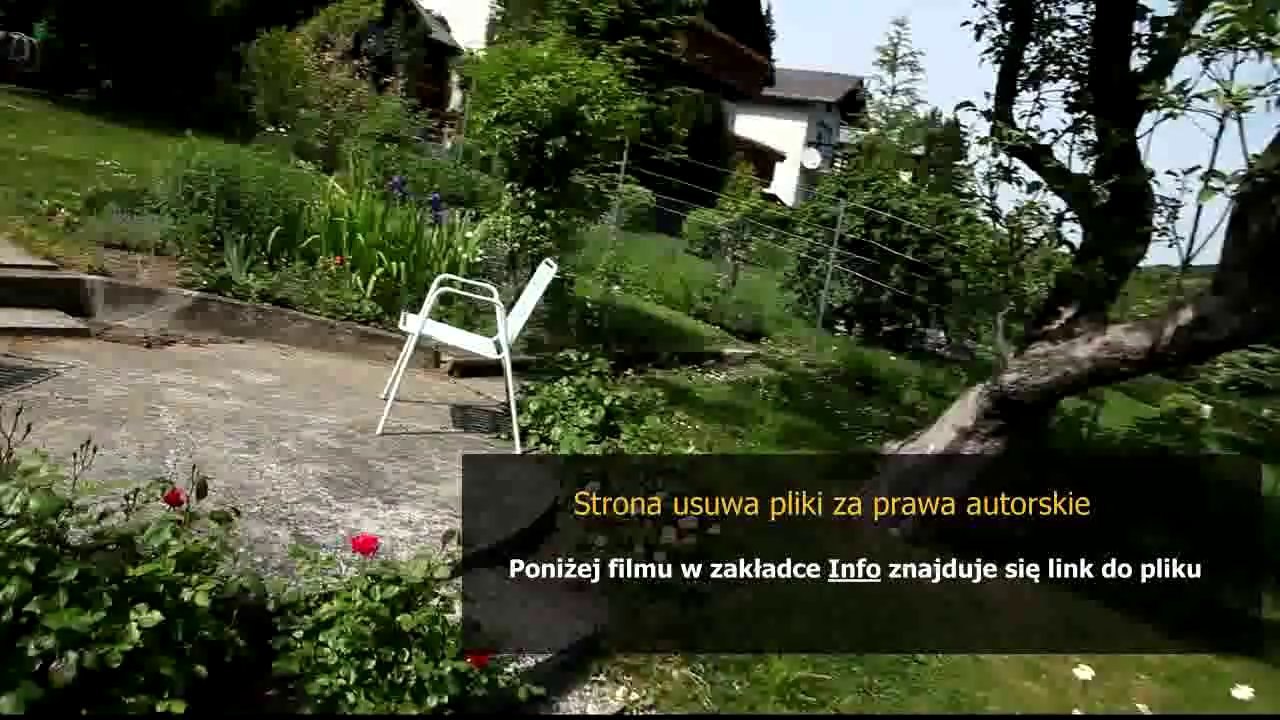 poradnik na admina
