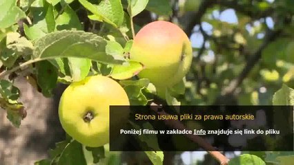 kupony do allods online