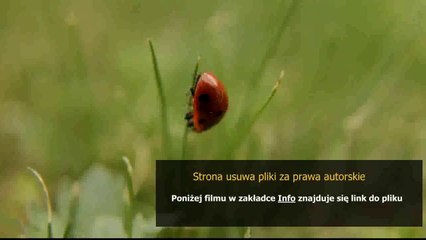 instrukcja citroen c5 2009