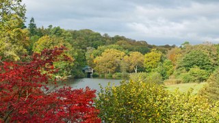 Winkworth Arboretum Godalming Surrey