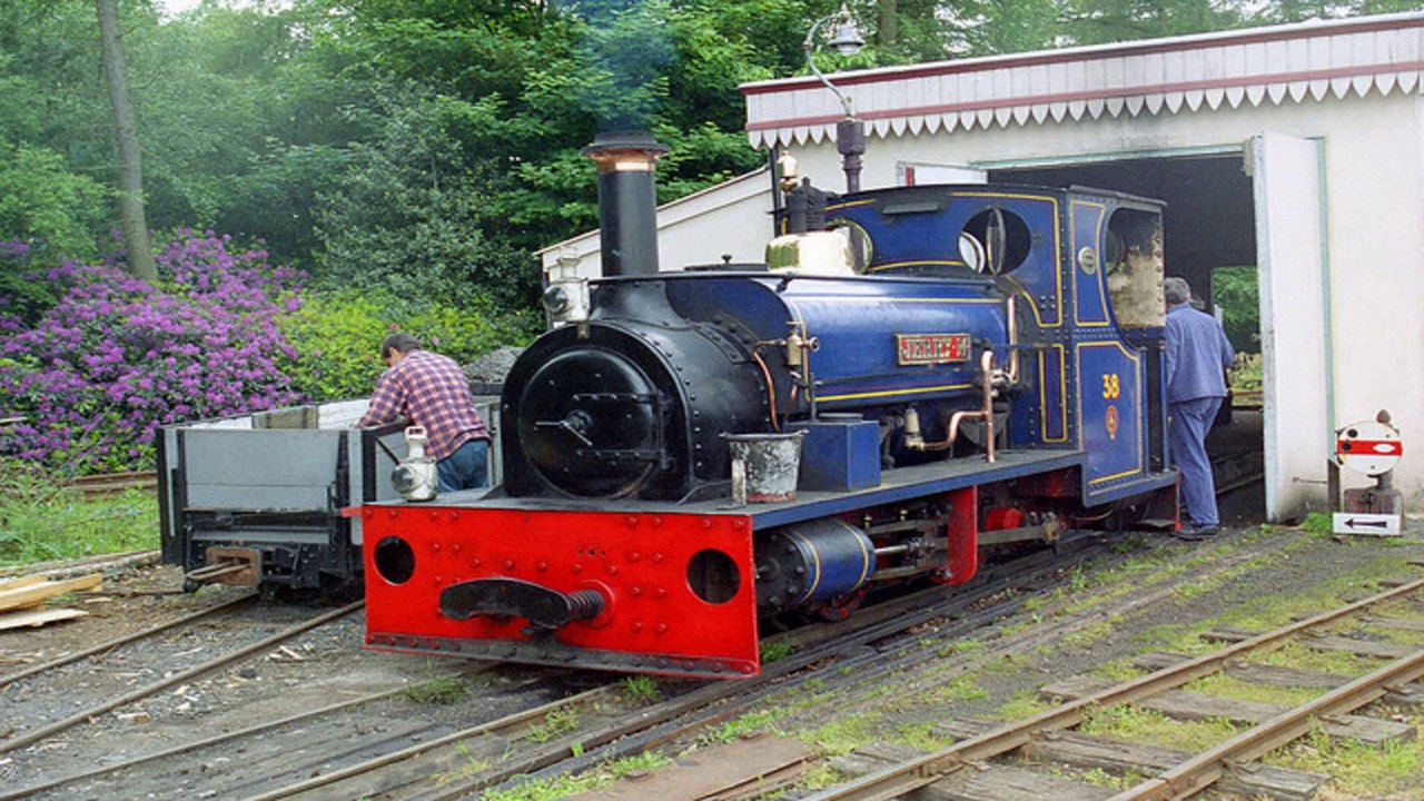 Holly combe steam collection Liphook Hampshire