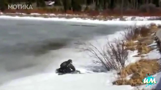 МОТИКА: Авантуристите во душа ПРОТИВ мразот