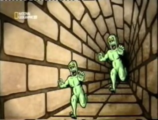 Percepcion de profundidad: Ilusiones perceptivas