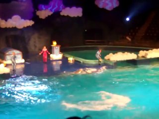 Dolfijnenshow _De Droomwens' @ Dolfinarium Harderwijk