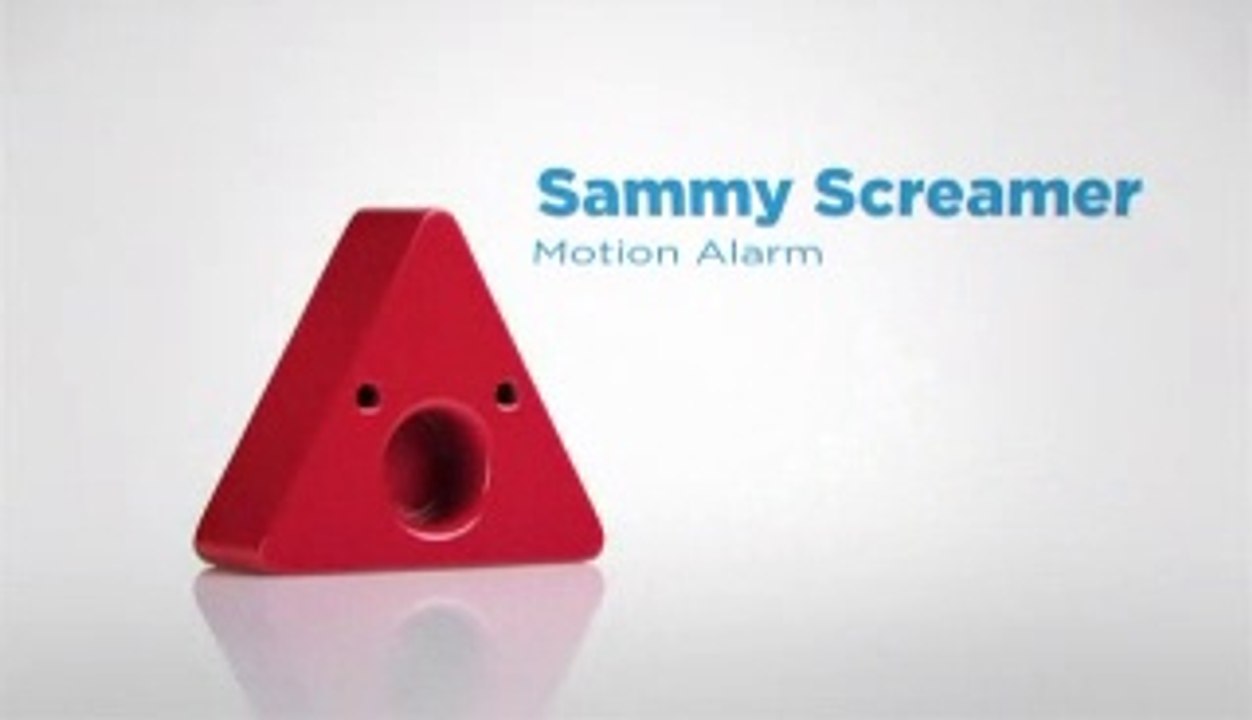 Sammy Screamer: Motion alarm for your children