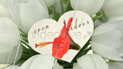 Flowers Greeting - After Effects Template