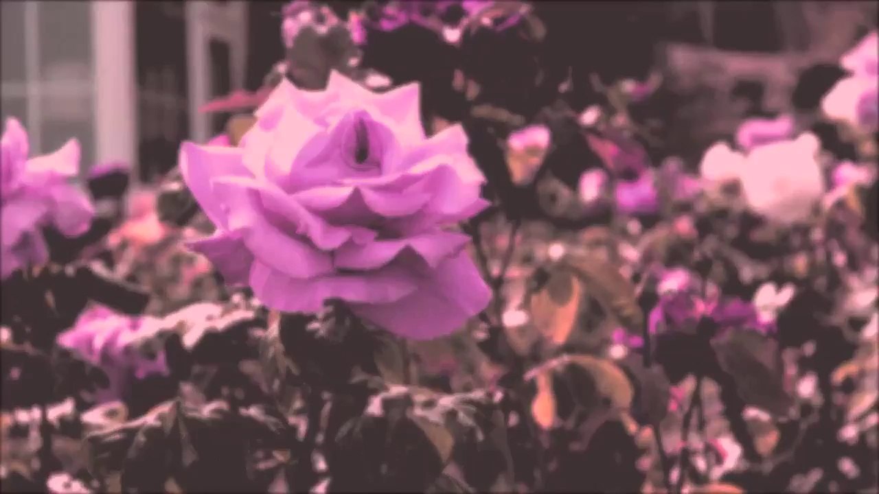 A Trip - English Bay /Full Film/Ganzer Film/Complete Movie