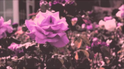 A Trip - English Bay /Full Film/Ganzer Film/Complete Movie