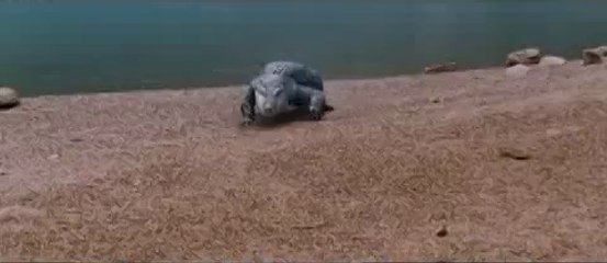 Crocodile Love Story Malayalam Movie 2013  Trailer 1 Official_clip7