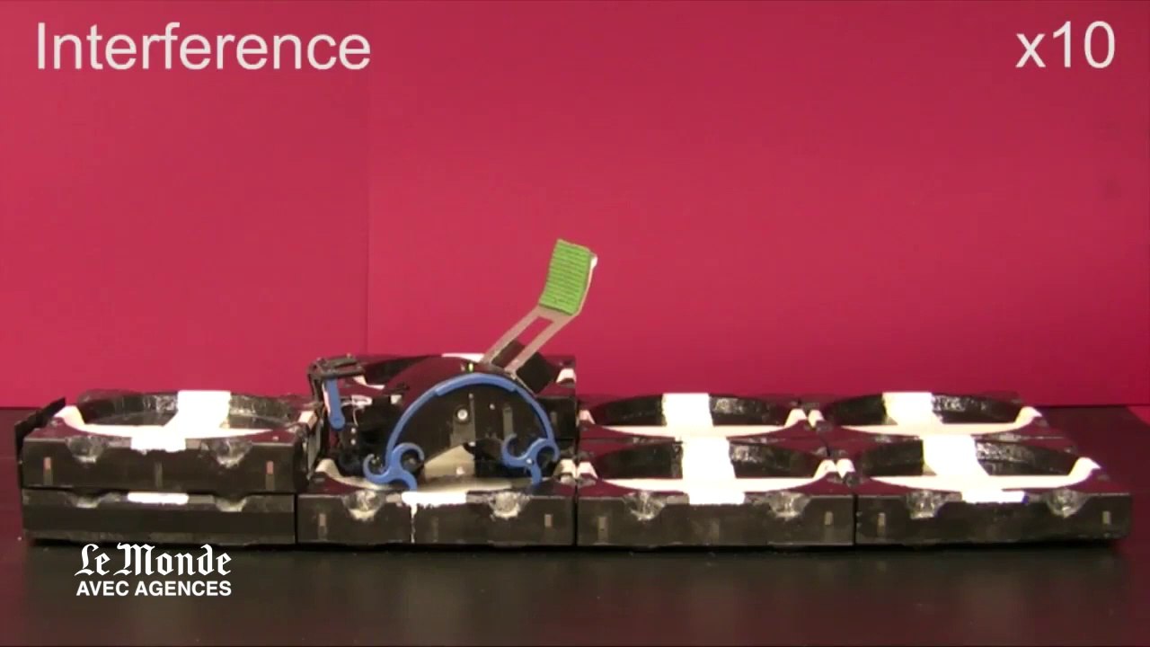 Des robots-constructeurs qui travaillent comme des insectes