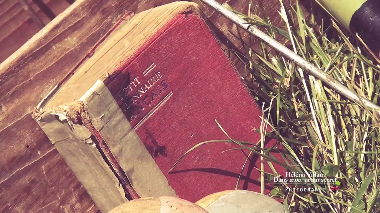 Pic Nic