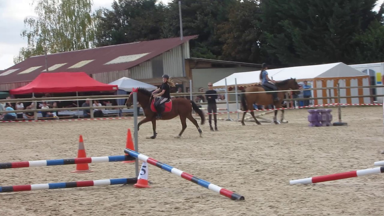 concours à l'écurie du lac