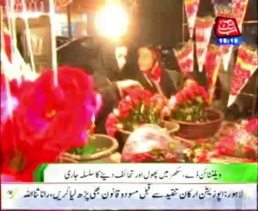 Valentine's Day, flowers and gifts sending in Sukkur