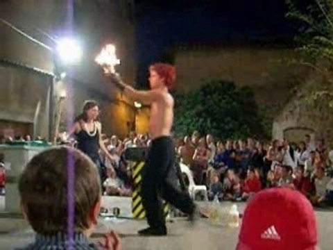 spectacle kungfu pernes les fontaines