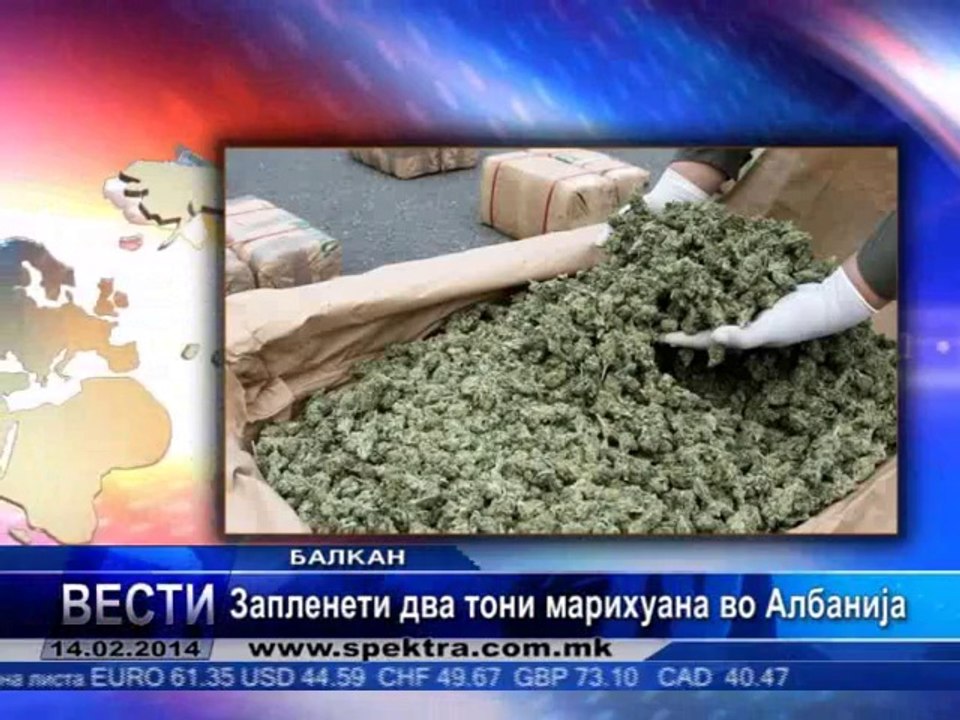 TV SPEKTRA VESTI 14.02