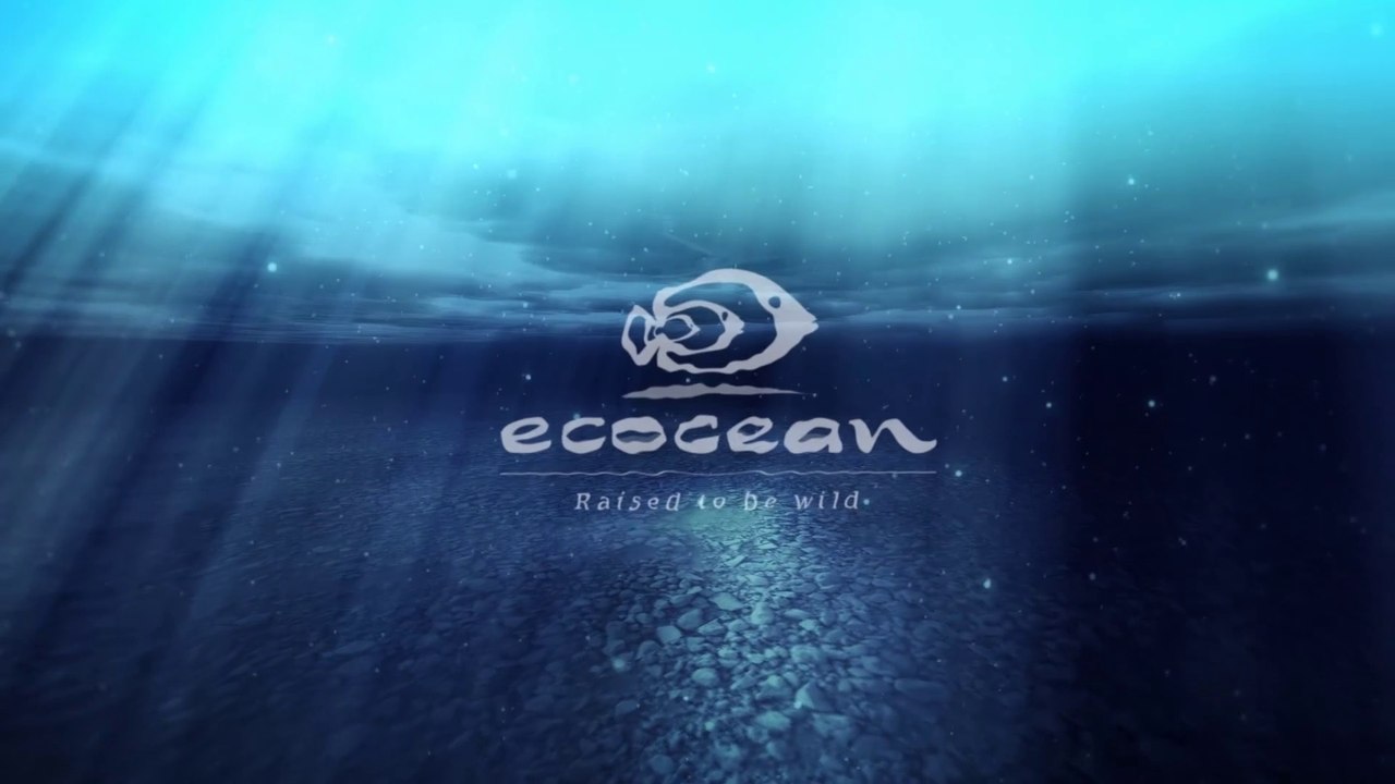 Film Promotion pour levée de fonds Wiseed