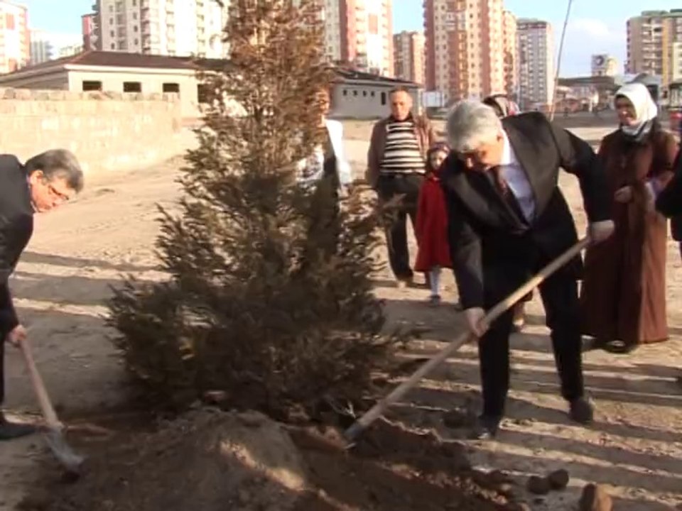 TALAS'TA HER EVLENEN DİKİLİ FİDANI VAR
