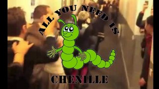 Ma chenille (Dédicace)