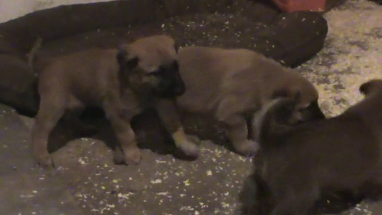 Be Aware G's @  New Playground