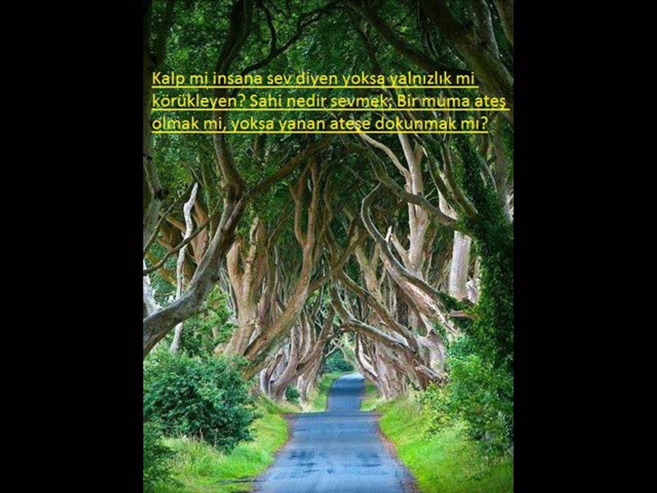 YÜKSEL ÖZKASAP  && AHU GÖZLÜM