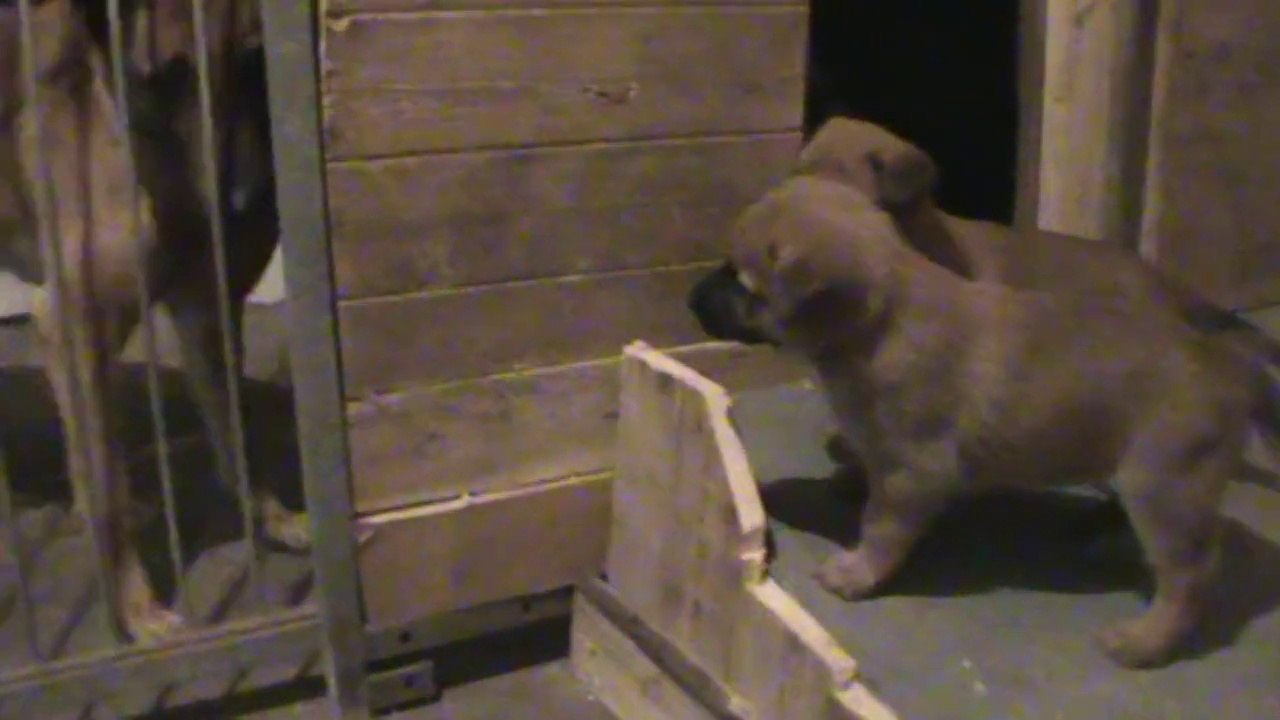 Be Aware G's @ Tante Csocso