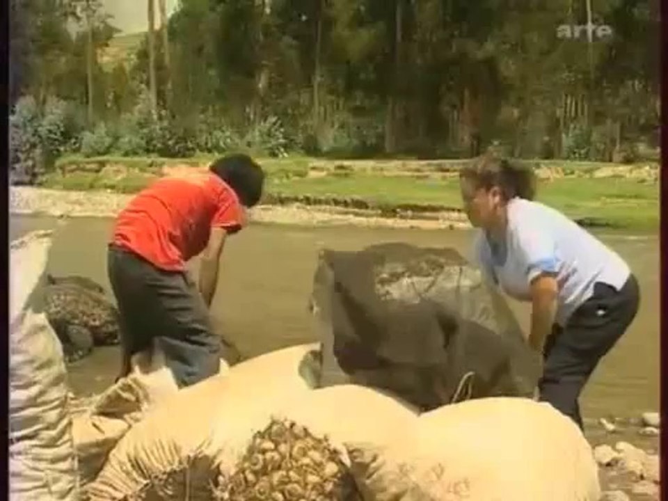 Maca1Arte