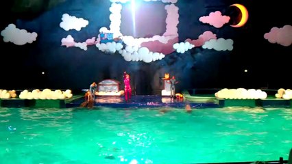Dolfinarium show