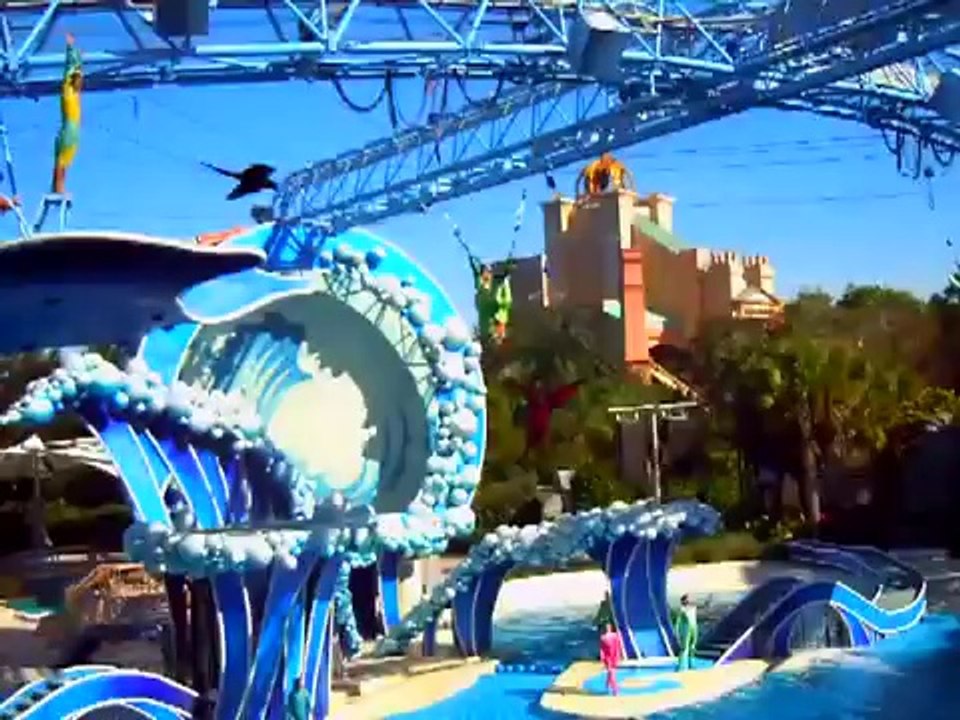 Dolphin show at Seaworld