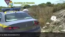 Tg 14 Febbraio: leccenews24 notizie dal Salento in tempo reale