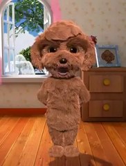 COMUNICAZIONE IMPORTANTE!! Ascoltate bene cosa ha da dire questo cagnolino