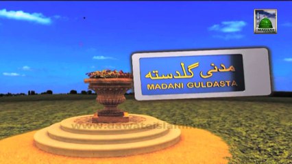 Useful Information 225 - Huzoor Ki Shaan e Shujaat - Haji Shahid Attari