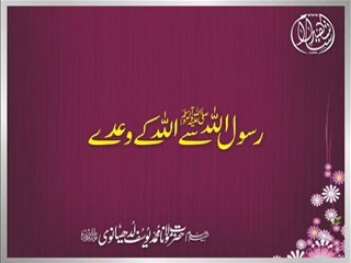 Maulana Muhammad Yousuf Ludhyanvi - Rasood Allah ﷺ Say Allah K Waday (12 Jan 1991)