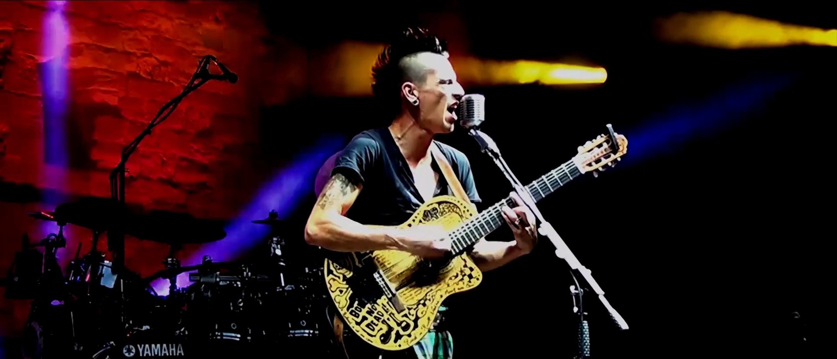 Les Monstres de Foire [Live] - Bob's Not Dead