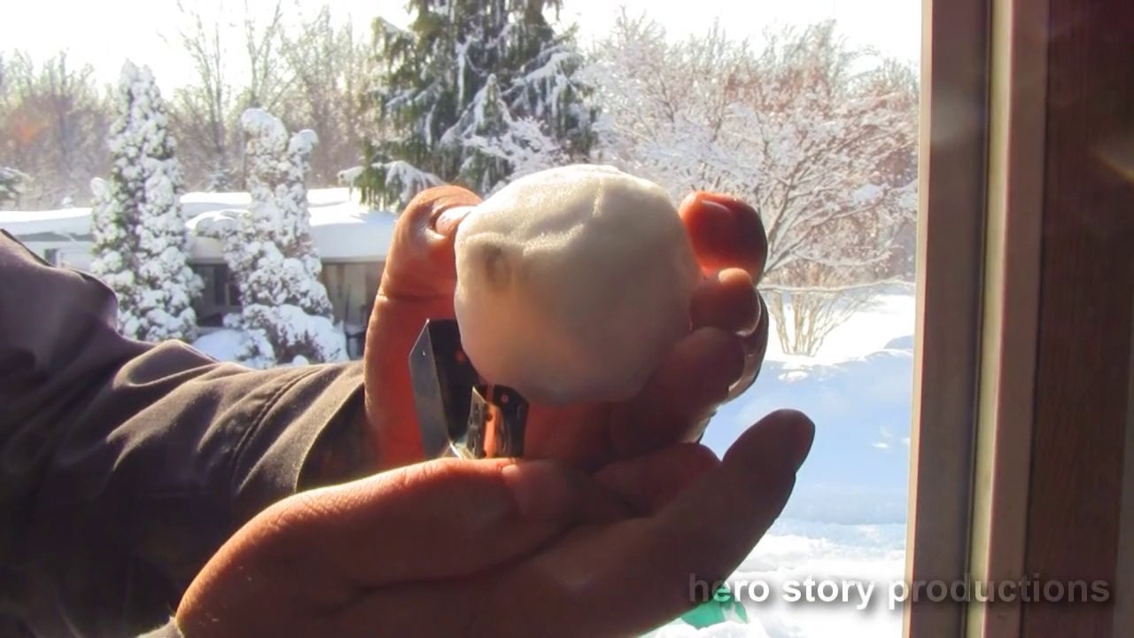 Vlog of Awesome - Government Controlled Snow