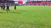 Stade brestois. Une pelouse tout à fait jouable