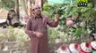 Naat Oinline : Bachpan Mery Nabi Ka Full Video Naat by Muhammad Aslam Saeedi