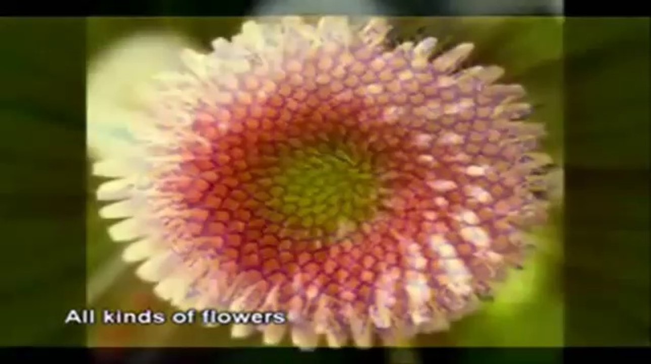 The Holographic Disclosure 3 of 7